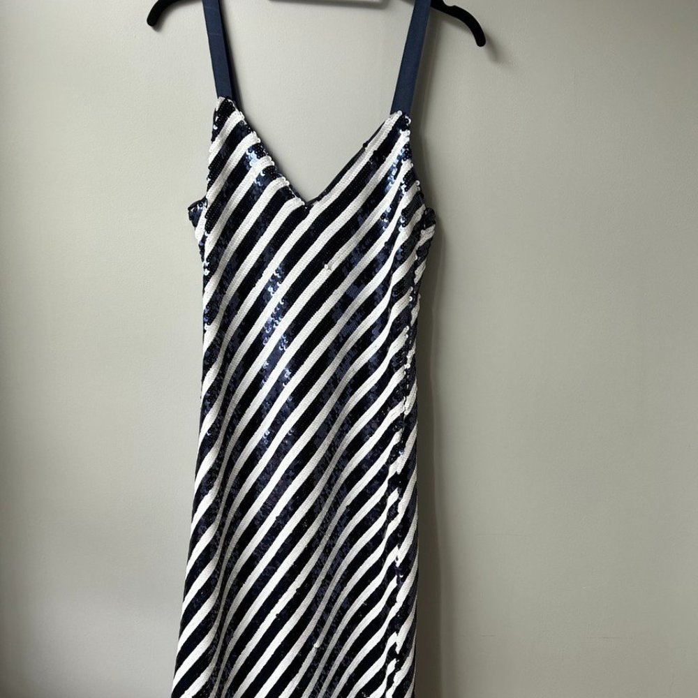 J Crew Size 6 Collection Gwyneth V-neck slip dress in sequin stripe